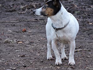 January 2017 Photo 29